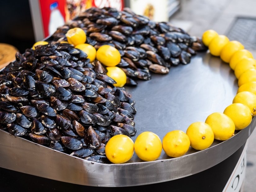 What to Eat in Istanbul?