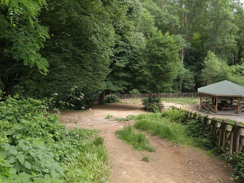 Belgrader Wald: Flucht aus der Stadt