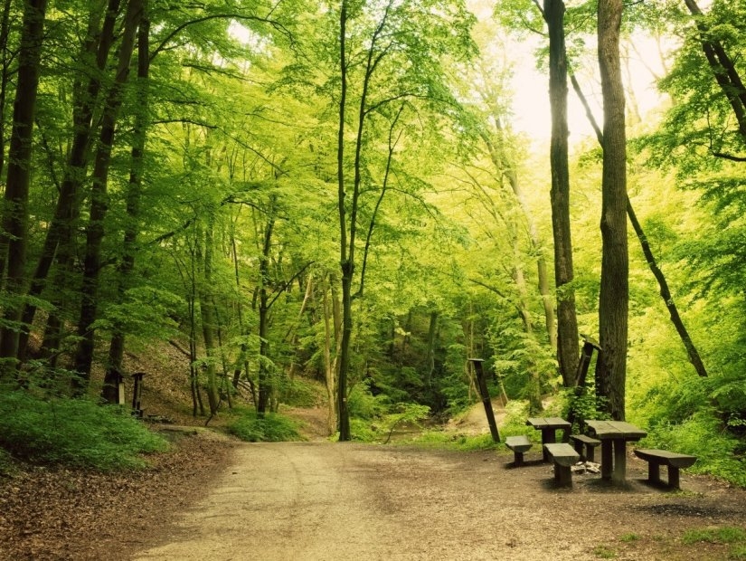 Green Spaces in Istanbul