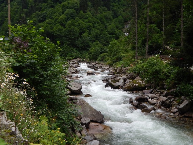 Fırtına Creek in Rize