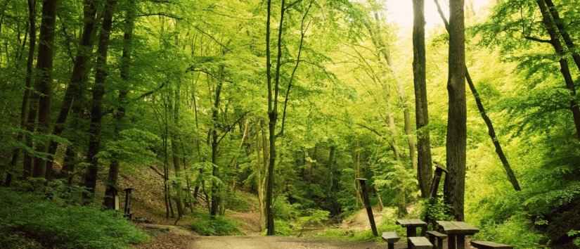 Green Spaces in Istanbul