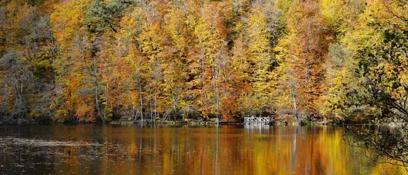 A True Natural Beauty: Yedigöller National Park