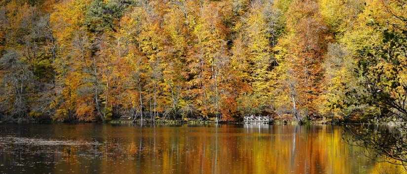 A True Natural Beauty: Yedigöller National Park