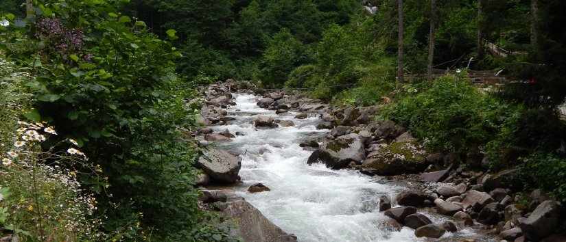 Fırtına Creek in Rize