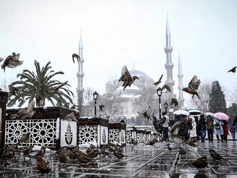 Die besten Aktivitäten an verschneiten Tagen in Istanbul