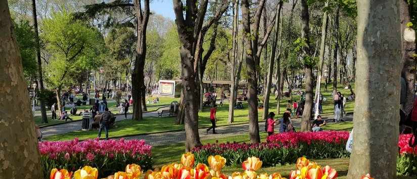 Les meilleurs parcs et jardins d\'Istanbul