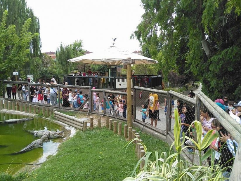 باغ وحش و پارک بوتانیک فاروک یالچین