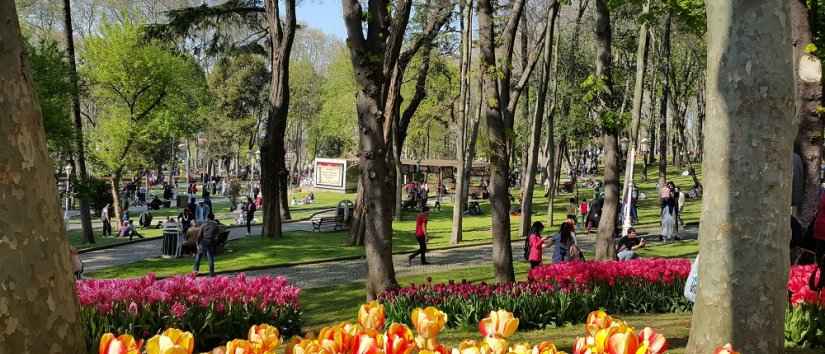 Лучшие парки и сады Стамбула.