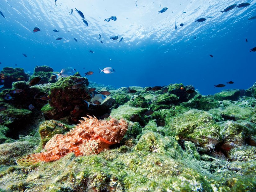 土耳其的最佳潜水地点