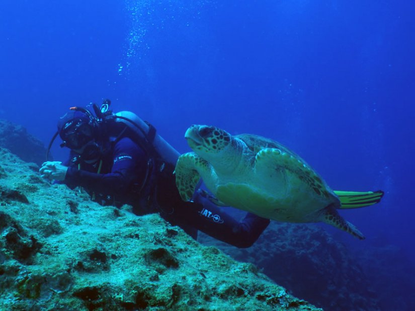 Best Diving Sites in Turkey